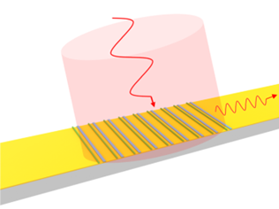 non-Hermitian photonics has seen new theoretical insights and experimental demonstrations all the time